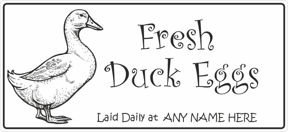 34 Personalised Egg Box Stickers Labels Freshly Laid Duck Eggs